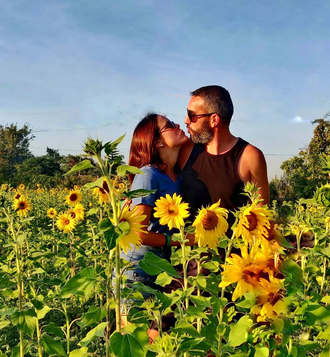 Champs de tournesol red mountain estate winery myanmar